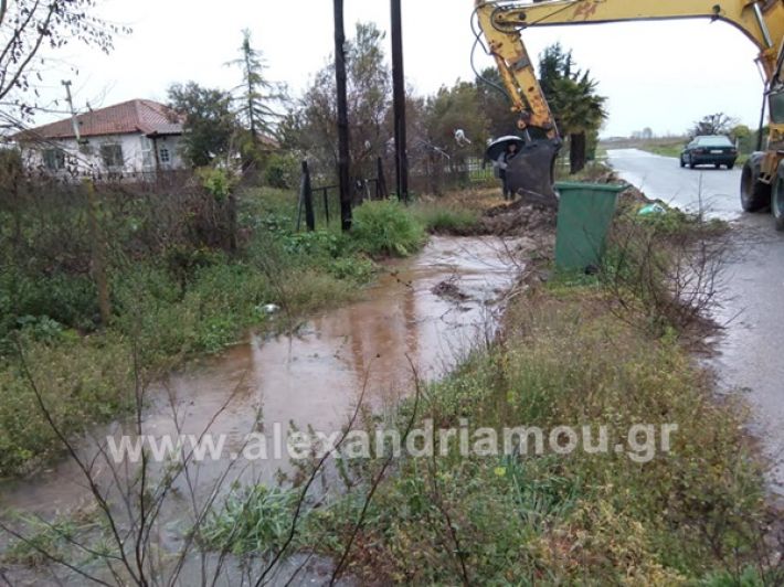 www.alexandriamou.gr_trikala1230992019702_2845027542284947_171222307228876800_n (1)